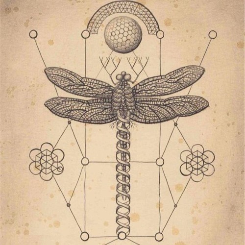 Libelula / Cosmic Journey