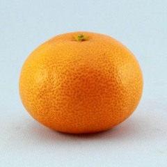 やはり女の子同士のチューというのは最高ですね。年齢が低ければ低いほど良い。