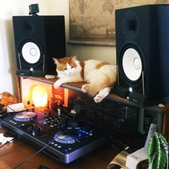 Deeper Innit# 3 (Video Link In Desc)