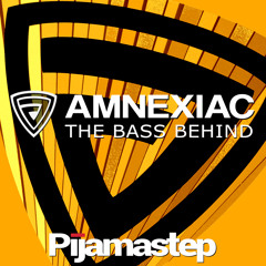 The Bass Behind