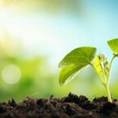 Neutral C h i l l - Not Alone