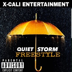 Quiet Storm Freestyle