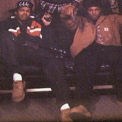 hoes (Bass Tester for Lord Infamous)