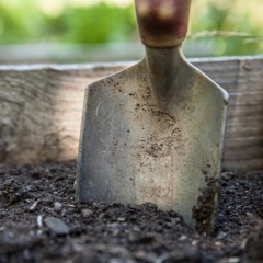Compost - The Key to Success