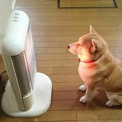 The next EP will be heavier than the last ones