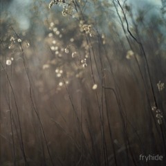 HOSH with Tim Engelhardt - Island Blues (pre Listen)