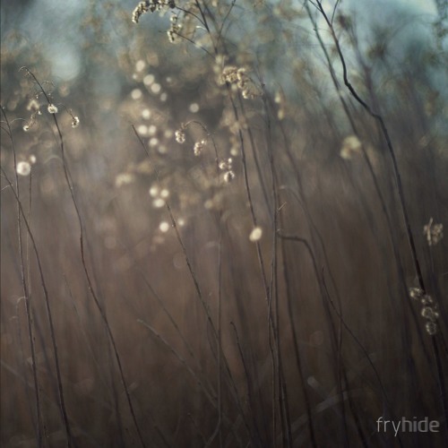 HOSH with Tim Engelhardt - Island Blues (pre Listen)