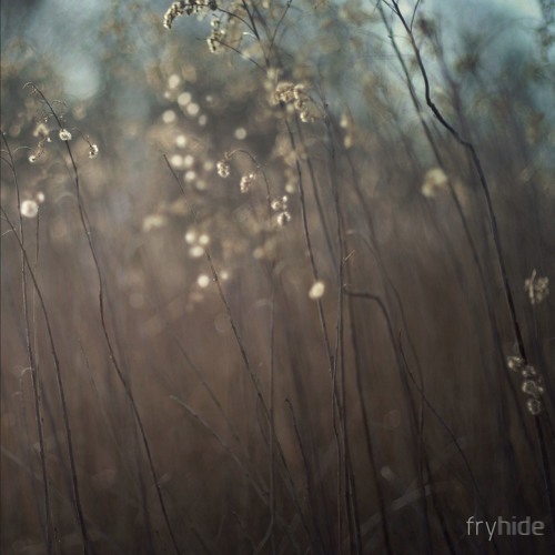 HOSH with Lehar - O Fratello Mio (pre Listen)