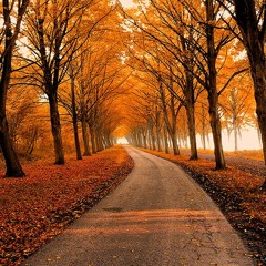 October 2015 playlist