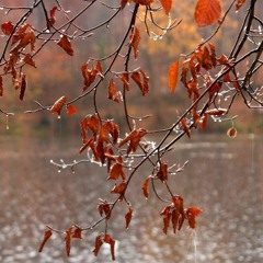 Etude No 1: Memoirs on a Rainy Fall Day