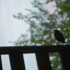 m50 + Leja Hazer + Sestrica @ etc, WNUR 2017.06.23