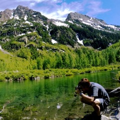 Vinyl Session 28. - Dash to the Forever Boarder