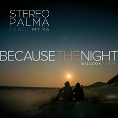 Stereo Palma - Because The Night (Willcox Remix Edit)