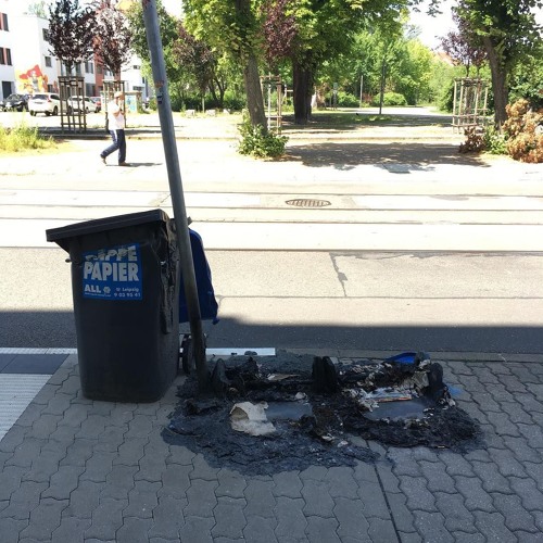 Neulich war ich so wütend, da hätte ich fast einen Internetkommentar geschrieben.