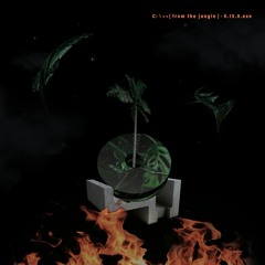 The Jungle [Prod. Oyinboy]