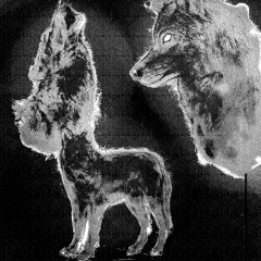 Fenrisulven / Fenrir by Mads Walmod and Thomas Lyhne