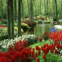 Rahat Fateh Ali Khan Ft. Wajhi Farooqi - Main Aqa Ki Mehfil - New Naat 2017.mp3