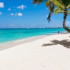 Hell yeah in Barbados