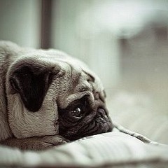 You Can't Put Your Arms Around A Memory (Johnny Thunders cover)