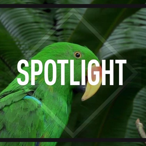 Stream Rap Instrumental Beats - Calvin Harris type beat (Free Mp3 Download)  by Omnibeats.com | Rap Beats & Instrumentals | Listen online for free on  SoundCloud