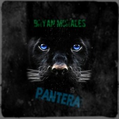 Bryan Morales- Pantera (Original Mix)(jungle terror)