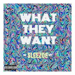 Sleezoe - What They Want
