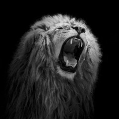 1 HOUR of the Best Motivational Speeches and Music (Version 3) - DTA