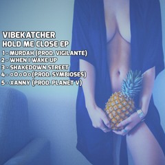 VibeKatcher - Shakedown Street