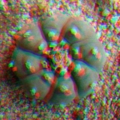 Suede (Anderson.Paak Remix)