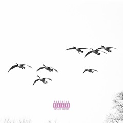 Let the Birds Fly | Raisi K.