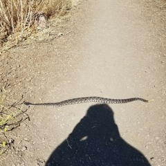 Jethro Tull...Aqualong.....