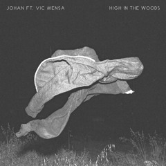 high in the woods ft. vic mensa