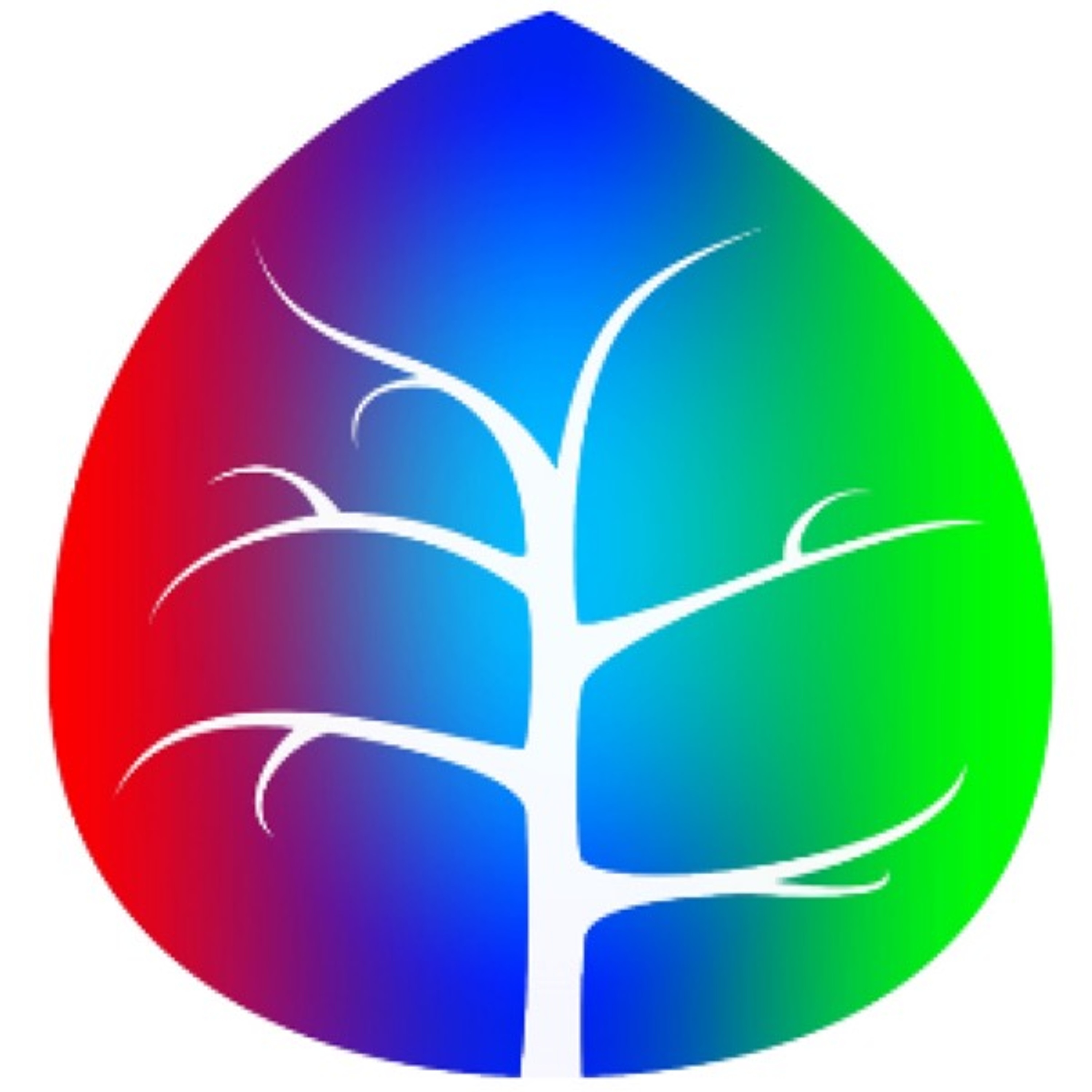 08 - Assessment at Gate Pa School