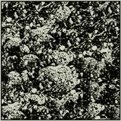 Muth Obit - Drownings II