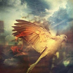 علّمني كيف عرفوك ~