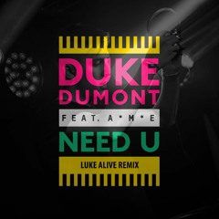 Duke Dumont - Need U (Luke Alive Remix)