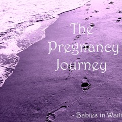 Babies In Waiting The Pregnancy Journey