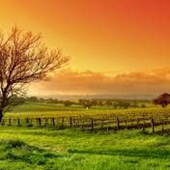 رب المشرقين ورب المغربين ....  عمير شميم