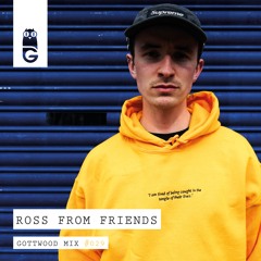 Gottwood Mix #029 - Ross From Friends