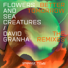 PREMIERE: Flowers And Sea Creatures, David Granha - Better Tomorrow (Praveen Achary Remix)