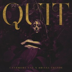Cashmere Cat Ft. Ariana Grande - Quit (Hitch Edit)