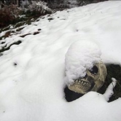 left alone to die in the cold