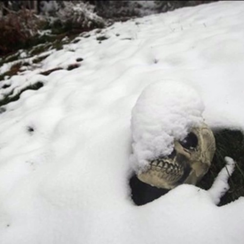 left alone to die in the cold