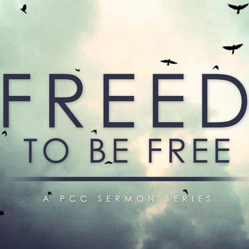 Free To Be Freed - Follow The Leader