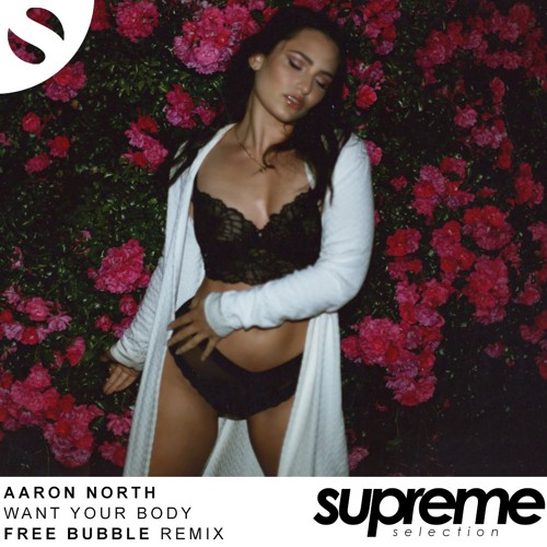 Aaron North - Want Your Body (Free Bubble Remix) [Free Download]