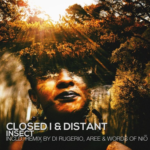 PREMIERE: Closed I & Distant - Luridae