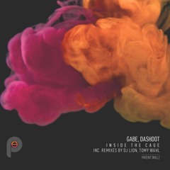Proton Premiere: Gabe & Dashdot - Inside the Cage (Original Mix) [Patent Skillz]