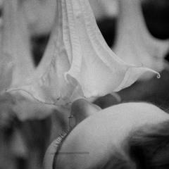 as lovers do - bloomypetal remix (rough)