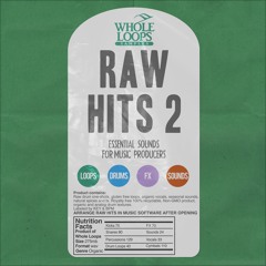 RAW HITS 2 (Sample Pack Demo By Reid Stefan)