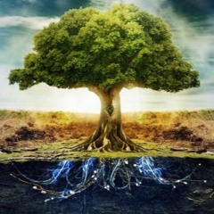 🕉Feel the power of Progressiv🕉